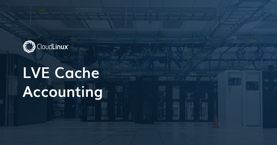 LVE Cache Accounting